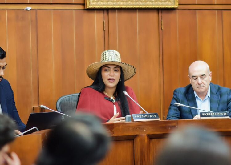 Senadora Martha Peralta lideró mesa técnica sobre los avances del proyecto del aeródromo en la Alta Guajira.