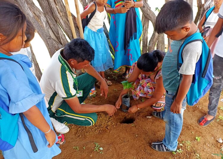Impacto Ambiental en las Comunidades Wayúu: Proyecto de la Escuela Normal Superior Indígena de Uribia.