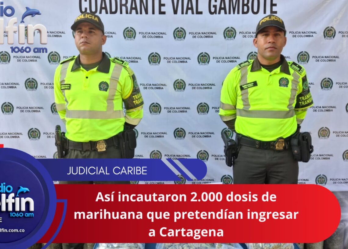 Así incautaron 2.000 dosis de marihuana que pretendían ingresar a Cartagena.