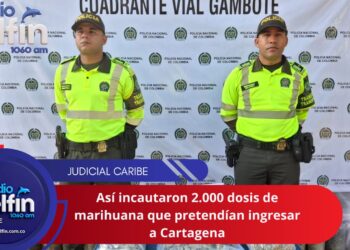Así incautaron 2.000 dosis de marihuana que pretendían ingresar a Cartagena.