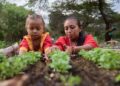 La Guajira avanza como escenario importante para la bioeconomía sostenible.