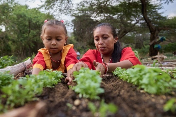 La Guajira avanza como escenario importante para la bioeconomía sostenible.