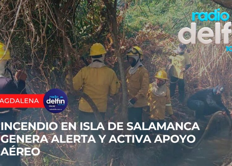 Incendio en Isla de Salamanca genera alerta y activa apoyo aéreo.