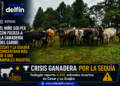 El Niño golpea con fuerza a la ganadería del Caribe: Cesar y La Guajira concentran más de 4.500 animales muertos.