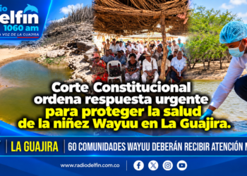 Corte Constitucional ordena respuesta urgente para proteger la salud de la niñez Wayuu en La Guajira.